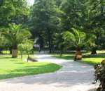Chopin Park - Gliwice pictures