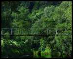 The bridge on the Jasiolka River - Jedlicze pictures