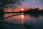 Czerwona River - Nowe Miasto nad Pilica pictures