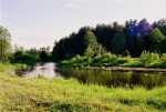 Drzewiczka River - Nowe Miasto nad Pilica pictures