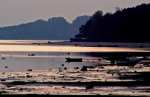Lake Evening - Turawa pictures