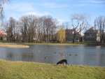In the park Roth - Raciborz pictures