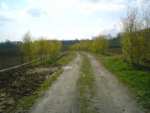 A country road - Bielawa pictures