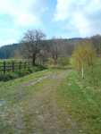 A field path - Bielawa pictures