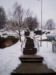 A geological exposure - Starachowice pictures