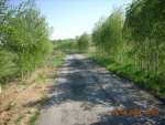 A country road - Bielawa pictures