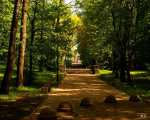 Park - Olecko pictures