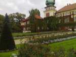 Castle in Lancut - Lancut pictures