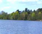 Kozlowo Lake in summer - Zieleniewo pictures