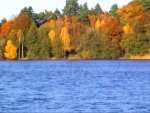 Kozlowo Lake in autumn - Zieleniewo pictures