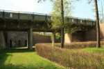 Fosa - Glogow pictures