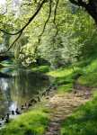 Lega River - Olecko pictures