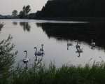 Lake - Olecko pictures