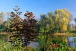 Jesien nad Odra - Glogow pictures