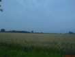 Fields - Barcin