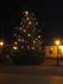 The Christmas Tree - Stary Sacz