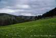 Laka - Szczawnica