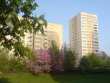 Okolica Metra Wilanowska - Warszawa