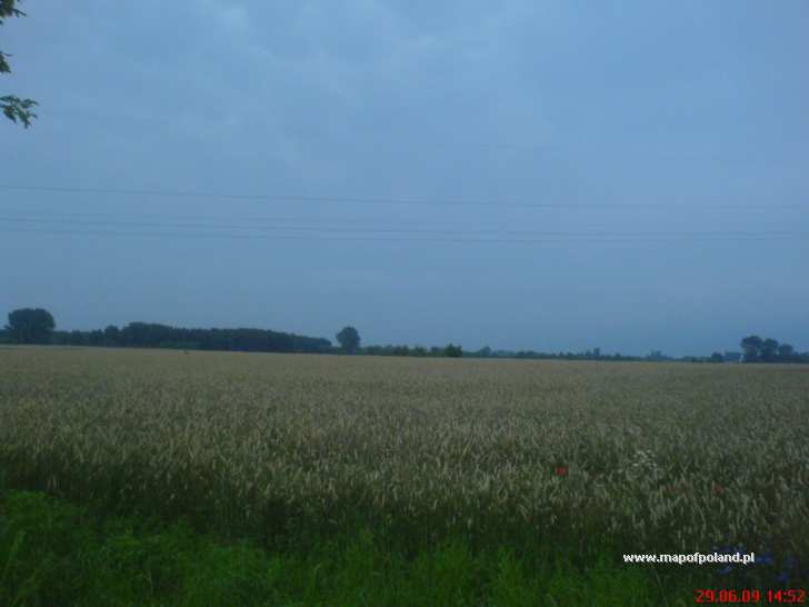 Fields - Barcin pictures