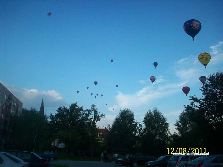 Balloons - Elk pictures