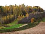 Autumn 2013 - Naleczow