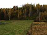 Autumn 2013 - Naleczow