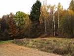 Autumn 2013 - Naleczow
