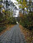 Autumn 2013 - Naleczow