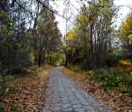 Autumn 2013 - Naleczow