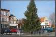 The Christmas Tree 2012 - Slawno