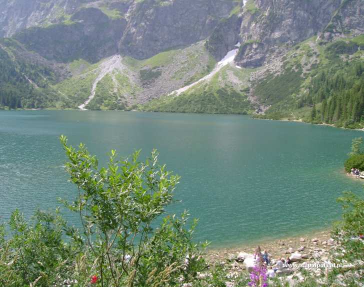 Lake Morskie Oko in the summer in Zakopane - Photo 25/120