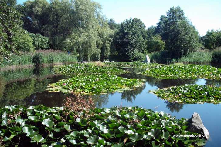 Botanical garden - Lodz