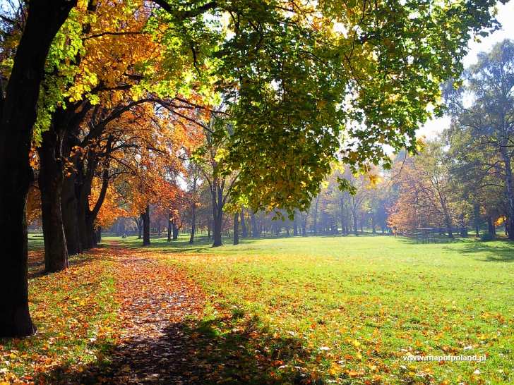 Autumn in the park - Czeladz